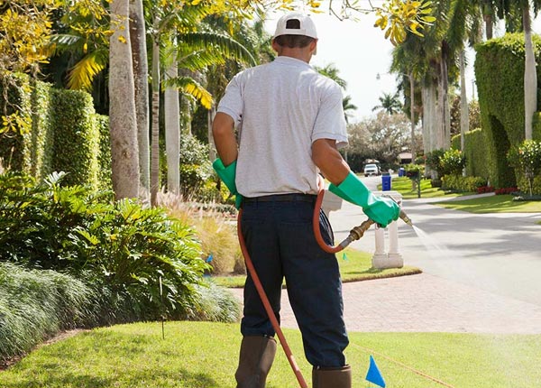 About Shiloh NC Pest Control